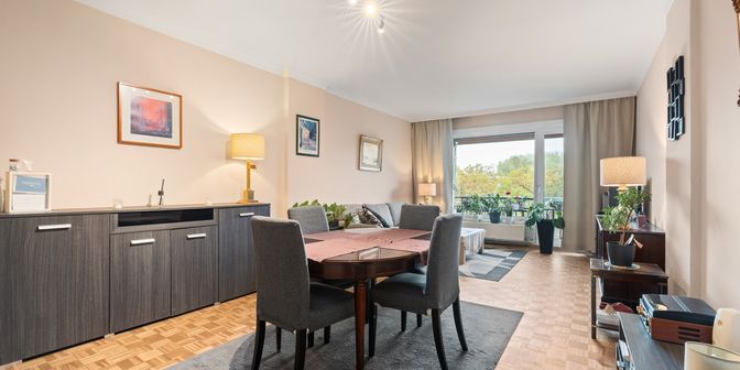 Appartement te koop in Halewijnlaan 53 bus 0203, 2050 Antwerpen