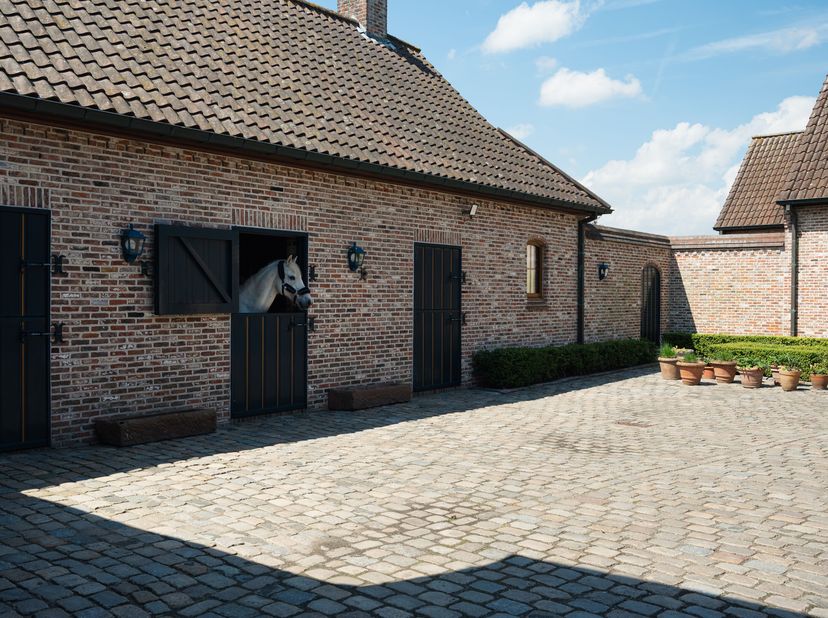 Te midden van het groene en glooiende landschap van Oosterzele bevindt zich deze uitzonderlijke vierkantshoeve met karaktervolle binnenkoer, paardenfa