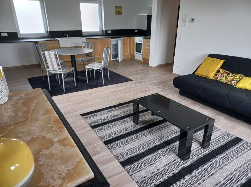 Très joli appartement meublé, lumineux et spacieux. Idéal personne qui divorce, vous pouvez arriver avec vos valises.Disponible début juillet. 1 très