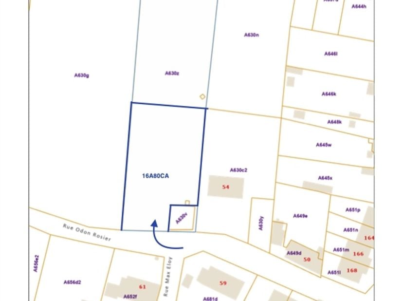 Terrain à vendre à Rue Odon Rosier 61,
                    7332 Sirault