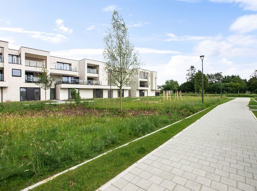 Huis Verkocht
                    in 3920 Lommel