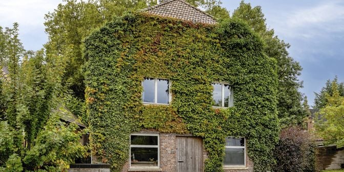 Huis te koop in Leuvensesteenweg 248, 3370 Boutersem