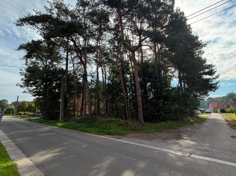Grond te koop in Elsleukenstraat 41 bus B,
                    3201 Langdorp