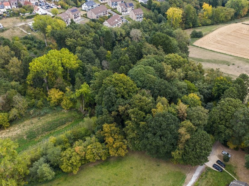À quelques minutes du centre, dans un environnement verdoyant et préservé, se niche un terrain d’exception de 1 hectare 61, une superficie rarissime d