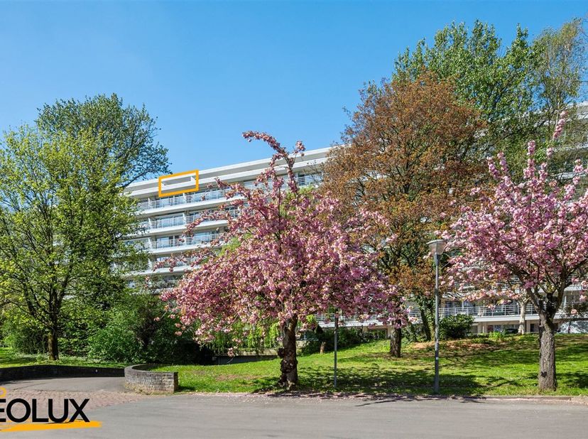 Bienvenue dans ce charmant penthouse appartement  à Anderlecht, un endroit idéal pour ceux qui recherchent le confort et l'espace dans un cadre verdoy