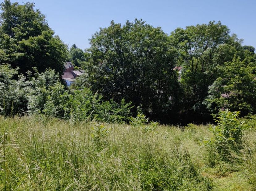 Terrain à vendre à ,
                    7340 Wasmes