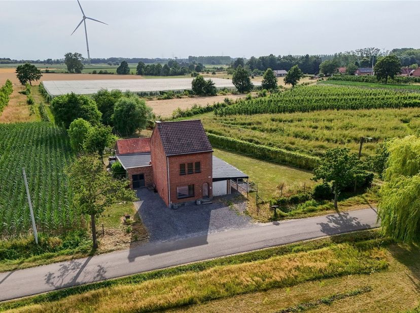 Vrijstaande woning met 3 mogelijk 4 slaapkamers op een idyllische landelijke locatie met prachtige vergezichten<br />
<br />
Omgeving:<br />
+ Gele