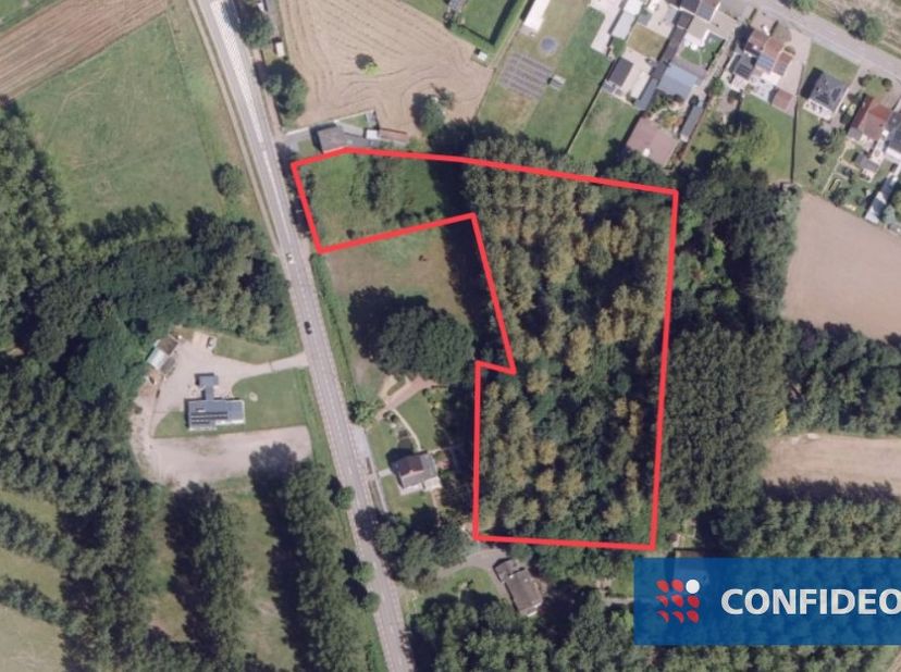 Ontdek dit prachtige perceel bouwgrond van 6a 48ca voor het realiseren van een halfopen bebouwing, gelegen langs de Hasseltsesteenweg in Tongeren-Borg