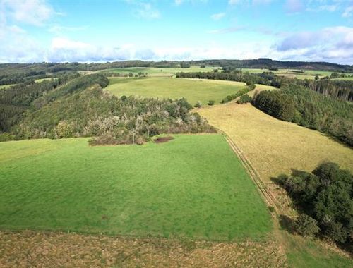                                         Terrain agricole à vendre à Hodister, € 90.000
