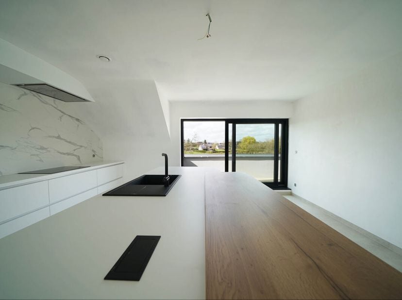 Découvrez ce superbe appartement alliant espace et luminosité, idéalement agencé : 54m² de living avec grandes baies vitrées donnant accès aux terrass