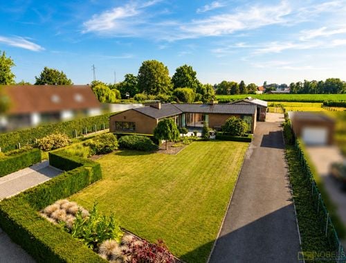                                         Magazijn met woonst te koop in Oudenaarde, € 875.000
