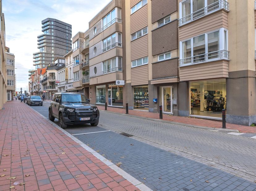 Bien professionnel à vendre
                    à 8301 Heist-aan-Zee