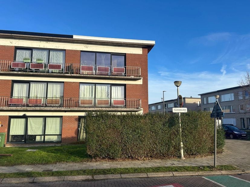 Appartement à louer
                    à 2180 Ekeren