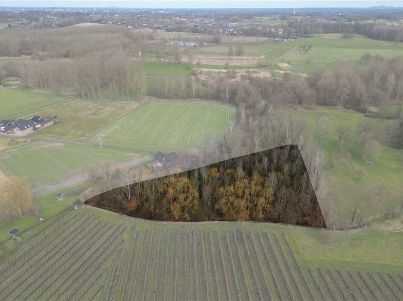 Prachtig weiland van 68a in landelijke omgeving<br />
Omgeving:<br />
+ Gelegen in het rustige en groene gebied van "Eikenveld"<br />
+ Talrijke mooie