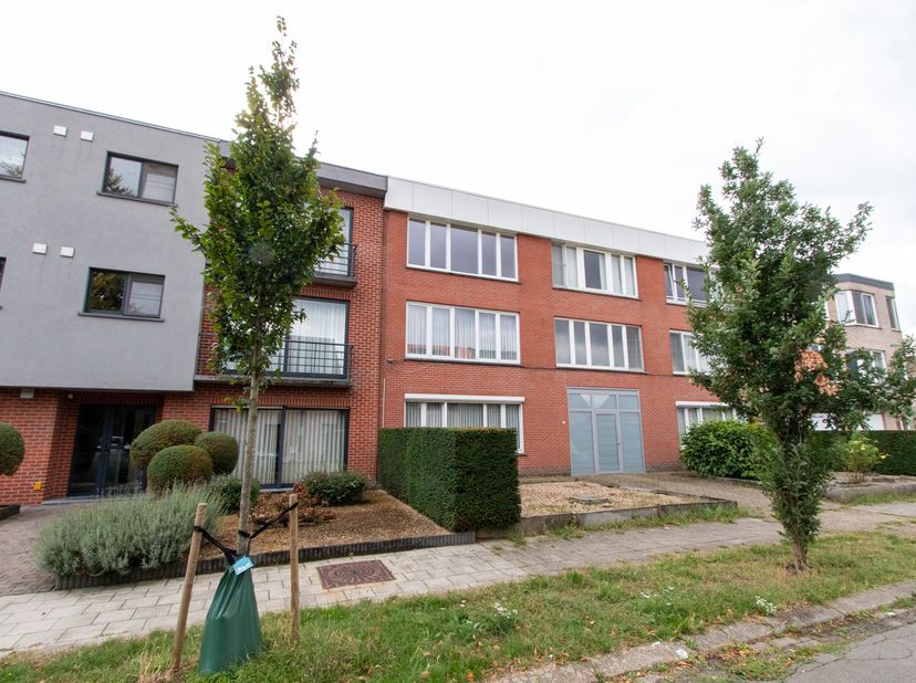 Appartement à louer
                    à 2110 Wijnegem