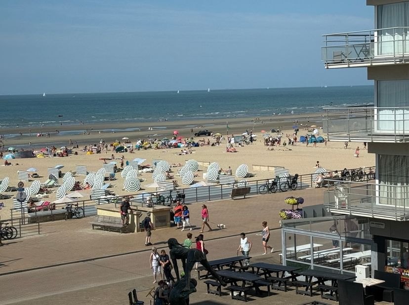 Ruim appartement met 1 slaapkamer en zijdelings zeezicht te huur in Koksijde, op wandelafstand van de levendige Zeelaan en het strand. Het appartement