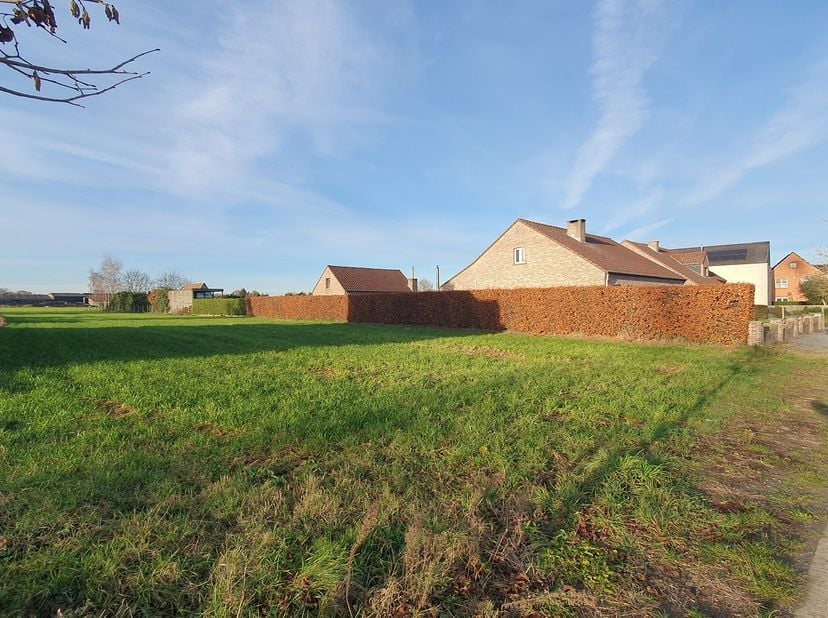 Deze zeldzaam ruime bouwgrond van 2.176m² vindt u in Reppel, een rustige deelgemeente van Bocholt, op een boogscheut van Bree. De Toekomststraat is ee