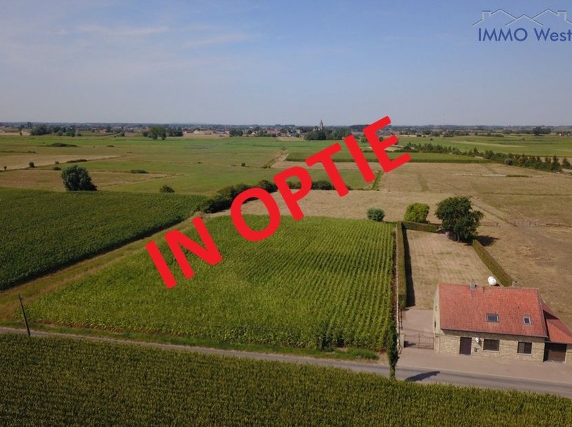 Maison à vendre
                    à 8647 Noordschote