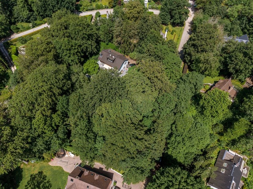 In de wijk Moorsel, op een groene locatie: prachtig vlak PERCEEL van +/- 24 are, met de mogelijkheid om een villa te bouwen met een vloeroppervlak van