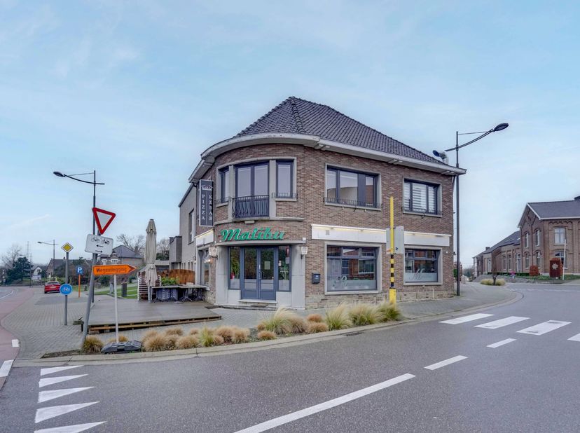 Bien professionnel à vendre à MAASTRICHTERSTRAAT,
                    3740 Bilzen