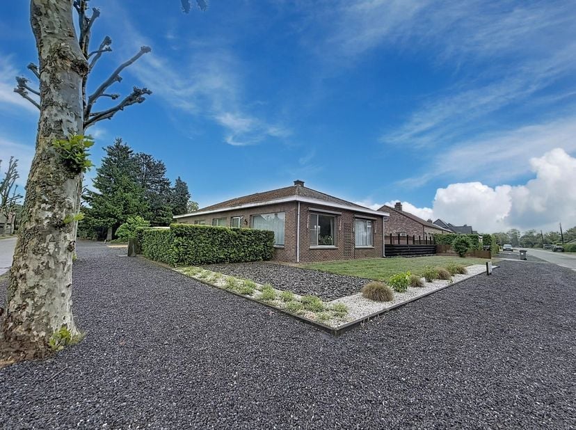 Deze gelijkvloerse woning is gelegen te Mol-Wezel, een rustige straat in een groene omgeving.<br />
Het perceel heeft een oppervlakte van 1010 m².<br