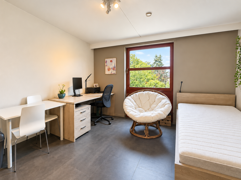 Kot-kamer te koop in Kapucijnenvoer 50 bus 0210,
                    3000 Leuven