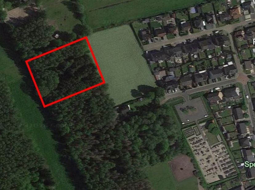 Bosgrond te Koop 5.140 m² in Stekene<br />
Bent u op zoek naar een rustige investering in natuurgebied of een groene plek om te genieten van stilte en
