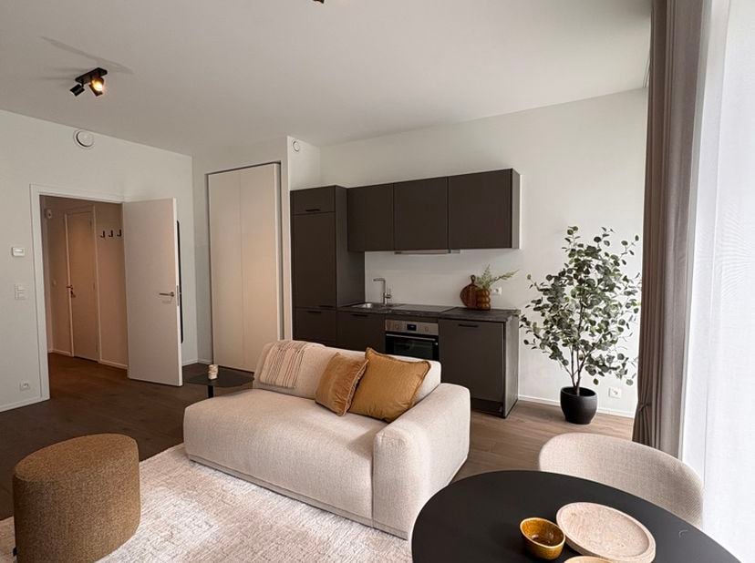 Gemeubelde studio met terras in Twin Falls – Sint-Lambrechts-Woluwe<br />
Op zoek naar een moderne en comfortabele studio in een recente residentie? T