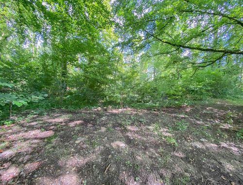                                         Bouwgrond te koop in Barbençon, € 115.000
