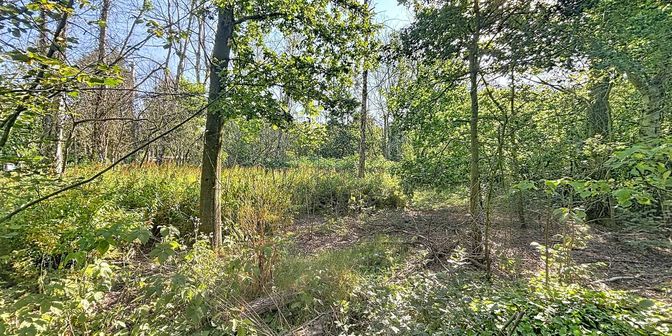 Terrain à vendre à Hazendreef 14, 2990 Wuustwezel