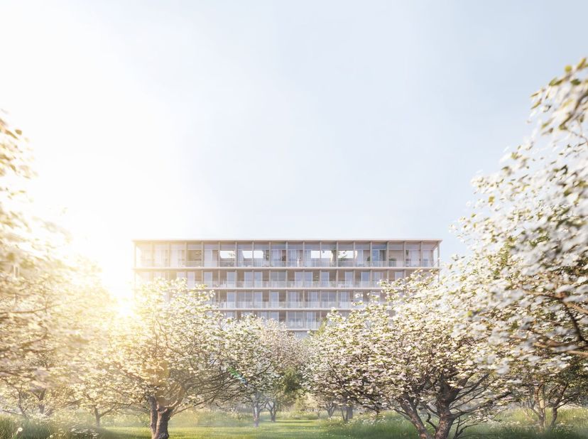 Project te koop in Jos Smolderenstraat 80,
                    2000 Antwerpen