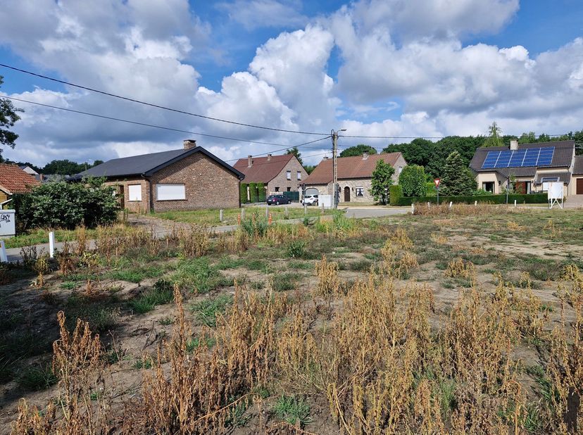 Terrain à vendre
                    à 3130 Betekom