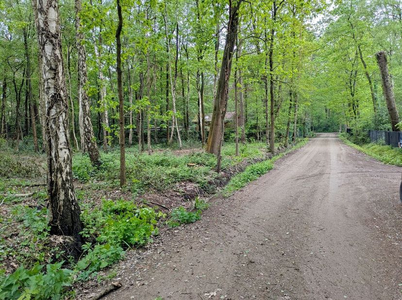 Rustig en groen gelegen perceel grond van 1.604m² in het woonbos te Essen<br />
Perceelbreedte: ca. 20m<br />
Perceeldiepte: ca. 80m<br />
Gelegen in
