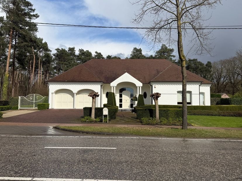 Maison à louer
                    à 3600 Genk