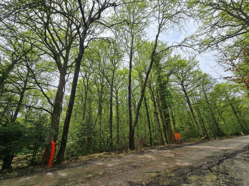 Prachtige bouwkavel in Cerfontaine vlakbij de Barrages de l'Eau d'Heure, met een uitzonderlijke kans om uw droomproject te realiseren. Deze kavel geni