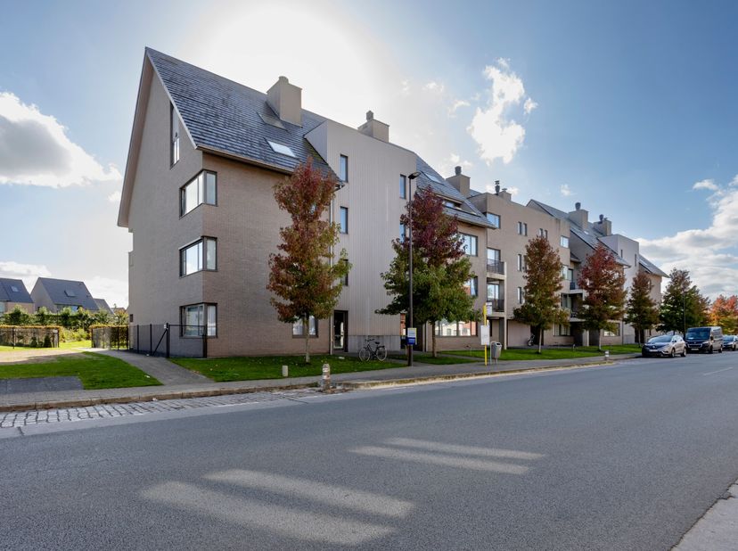 Appartement à louer
                    à 8700 Tielt