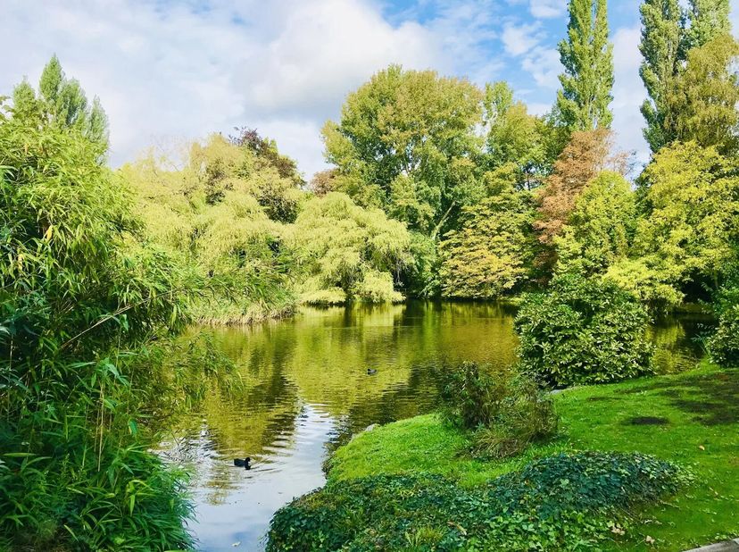 Gelegen vlakbij het Woluwe Park en het Tram Museum, biedt dit prachtig luxe appartement een oppervlakte van ongeveer 193 m². Het bevindt zich in een p