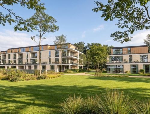                             in
