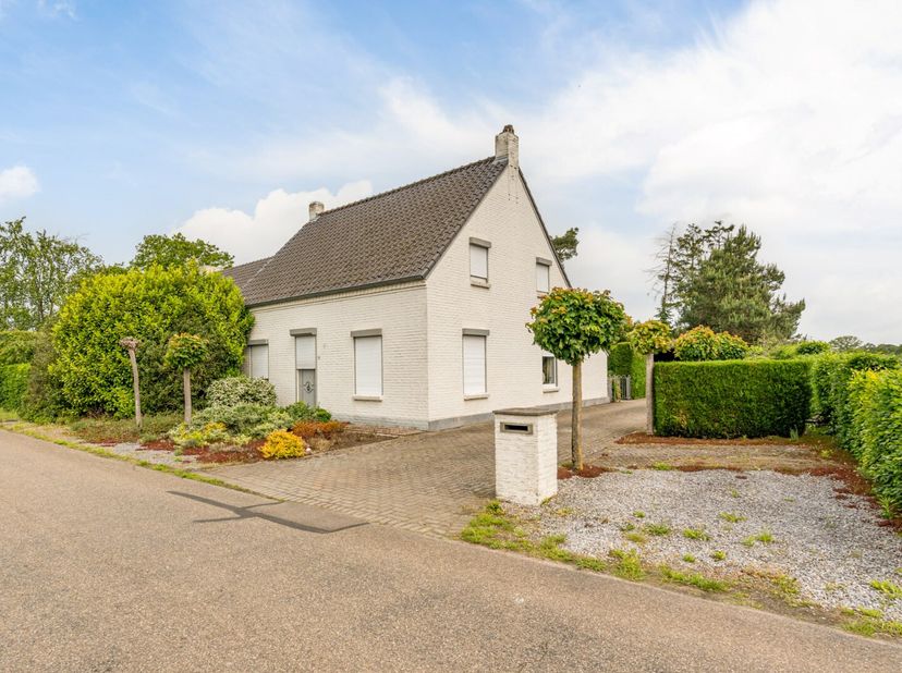 Deze zeer ruime woning is gelegen op een perceel van 29a90ca te Molenbeersel. Door de zeer landelijke ligging kan de bewoner genieten van alle rust en