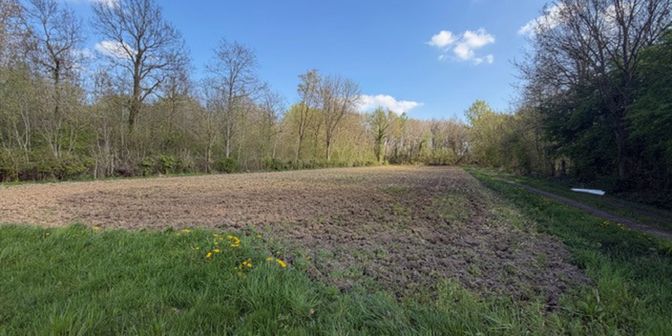 Terrain à vendre à Hoeledensesteenweg 5, 3380 Bunsbeek