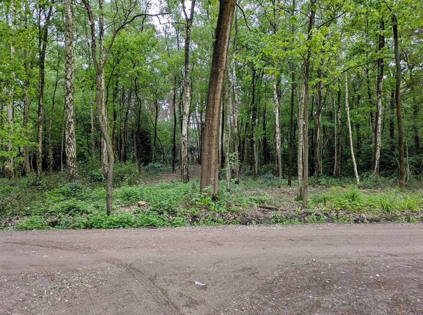 Rustig en groen gelegen perceel grond van 1.619m² in het woonbos te Essen<br />
Perceelbreedte: ca. 20m<br />
Perceeldiepte: ca. 81m<br />
Gelegen in