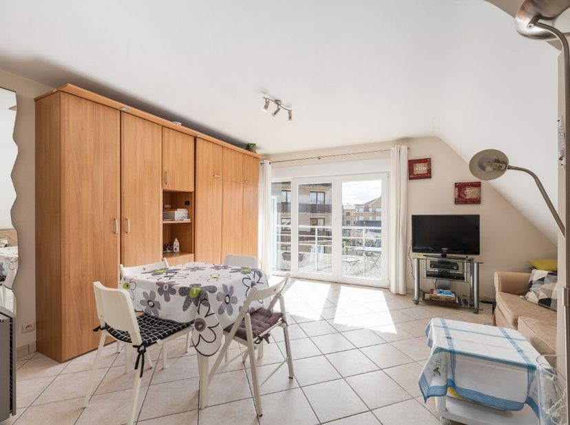 [[ DIT PAND NEEMT DEEL AAN DE ERA OPEN HUIZEN DAG OP 13/6 VAN 11:00 TOT 12:00 ]] De Panne: Gerenoveerde studio met lichtrijke woonkamer en terras in h
