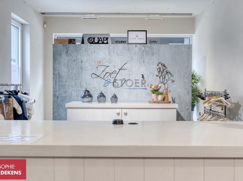 Bien professionnel à vendre
                    à 3990 Peer
