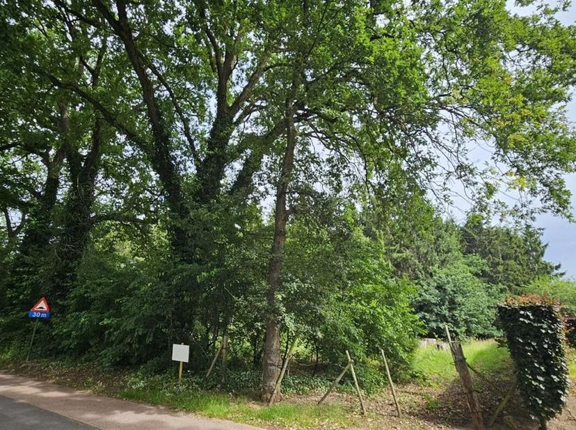 Bouwgrond voor open bebouwing op gunstige ligging in Terboekt (Genk)<br />
Bent u op zoek naar een rustige woonomgeving midden in het groen, zonder in