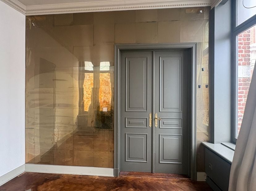 Dit prachtige appartement in Leuven is gelegen in hartje Leuven en biedt alles wat je nodig hebt voor een comfortabel en modern stadsleven. Het appart