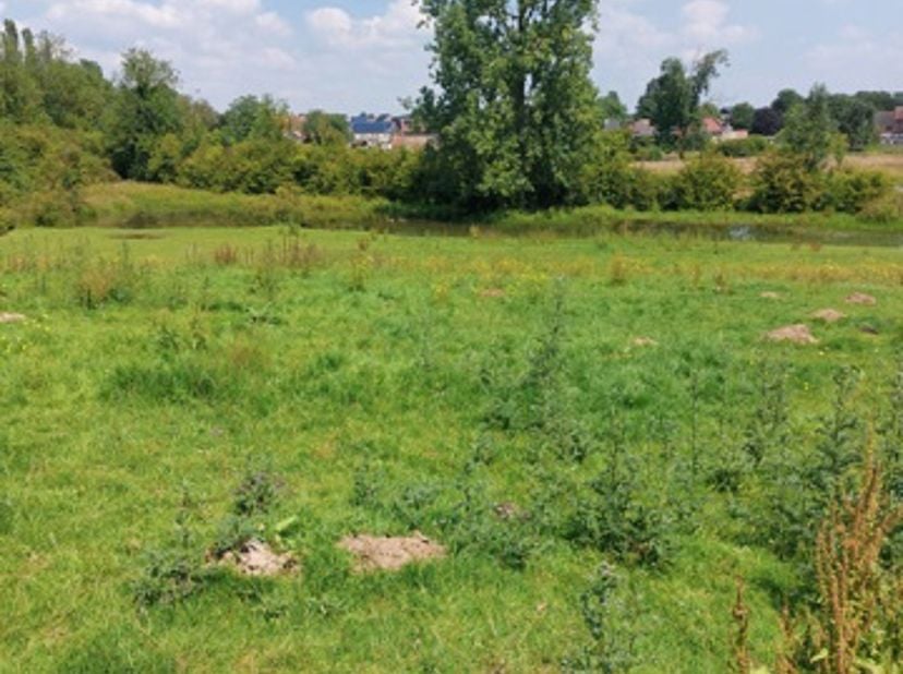 Terrain à vendre à Kerkedries,
                    3700 Sluizen