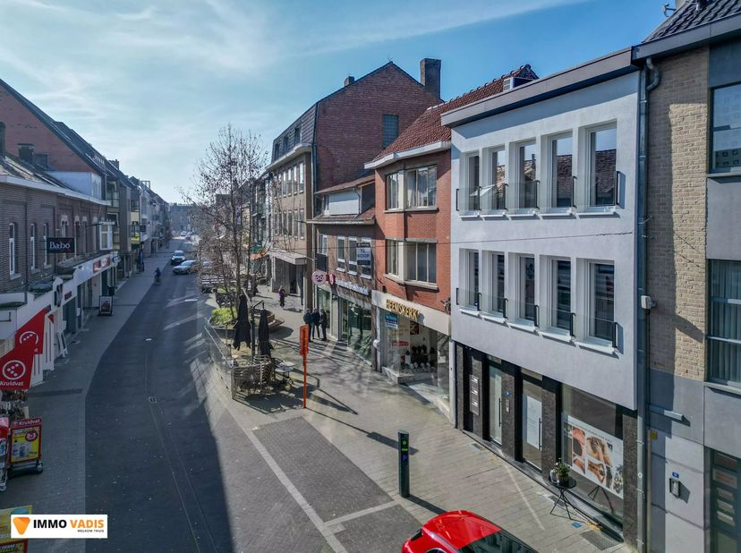 Bien professionnel à vendre
                    à 3620 Lanaken