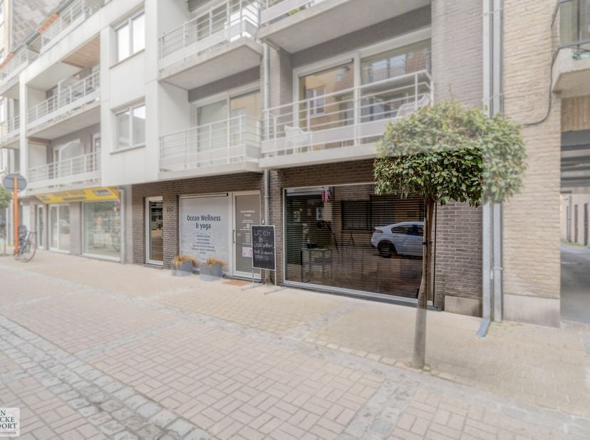 Bien professionnel à vendre
                    à 8450 Bredene