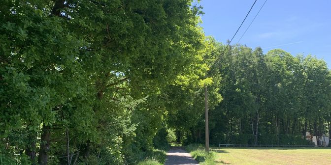 Grond te koop in Grensweg, 3690 Zutendaal
