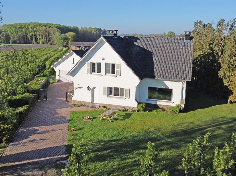 Deze klassieke villa werd gebouwd in ±1966 en resulteerde in een mooie gezinswoning. Via de inkomhal met gastentoilet bereiken we de aangename leefrui